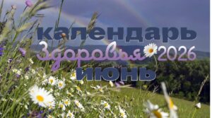 мед